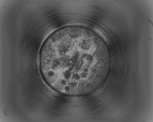 X0000091371084200709071320