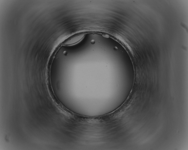 X0000091371085200709071320