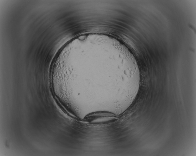 X0000091371087200709071320