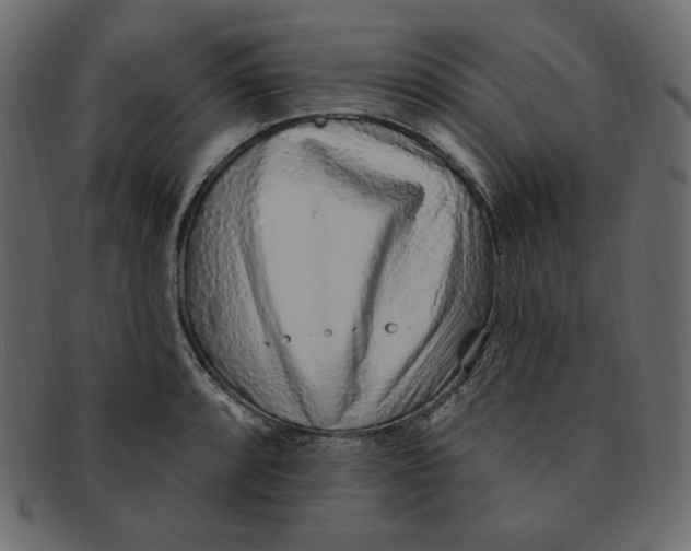 X0000091371088200709071320