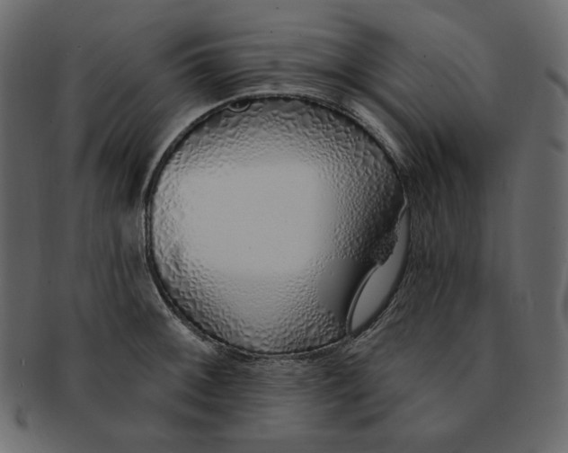 X0000091371092200709071320