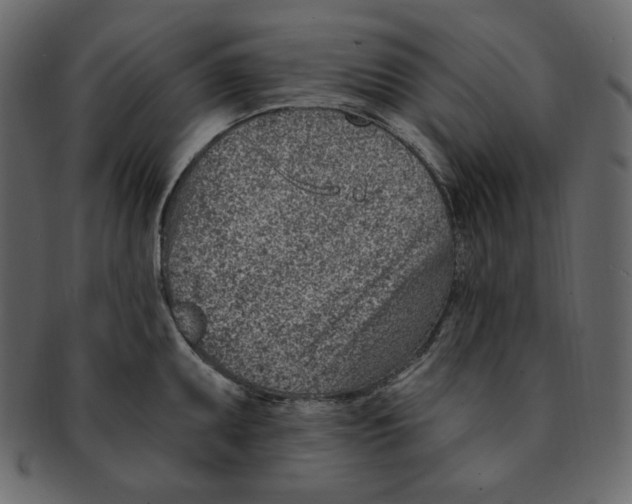 X0000091371095200709071320