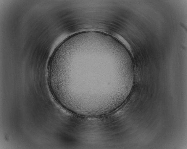 X0000091371096200709071320