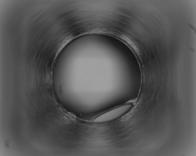 X0000091371097200709071320