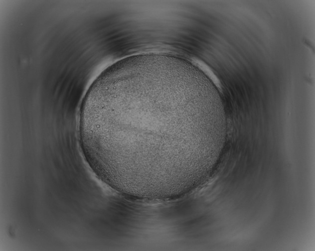 X0000091371099200709071320