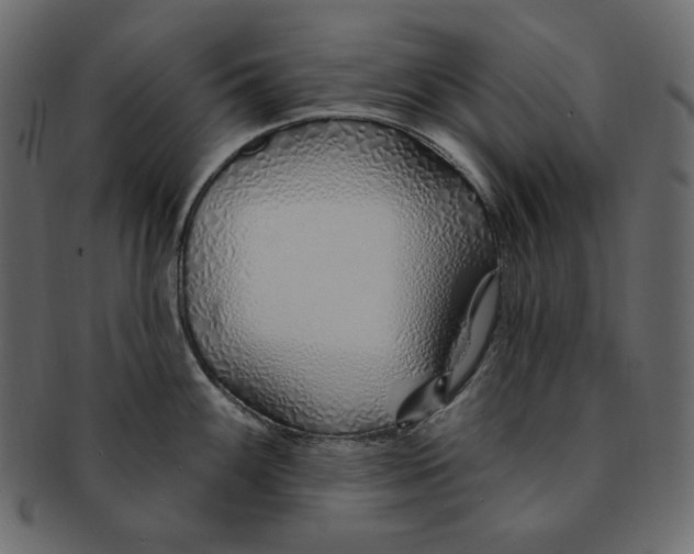 X0000091371100200709071320