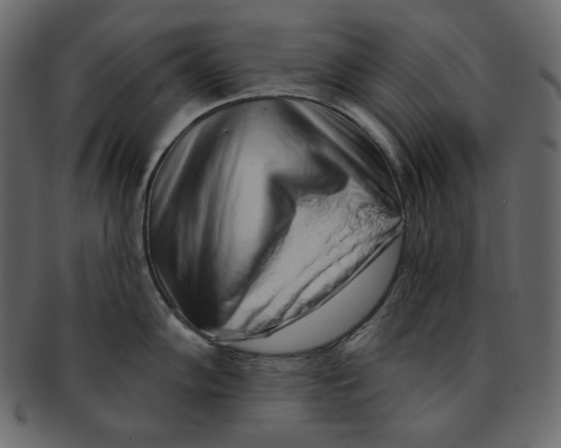 X0000091371102200709071320