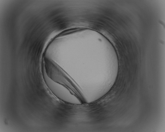 X0000091371104200709071320