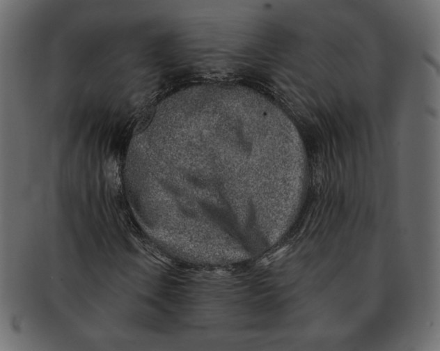 X0000091371106200709071319