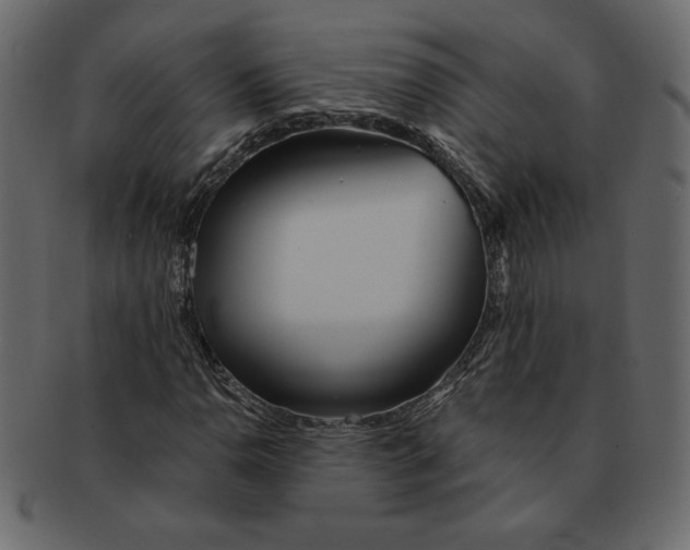 X0000091371110200709071320