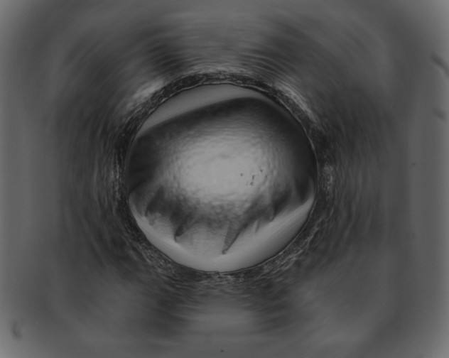 X0000091371111200709071320