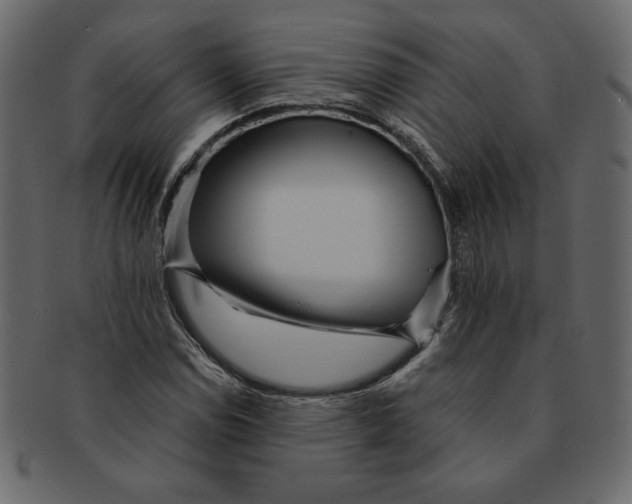 X0000091371114200709071320