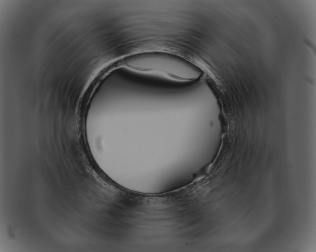 X0000091371116200709071320