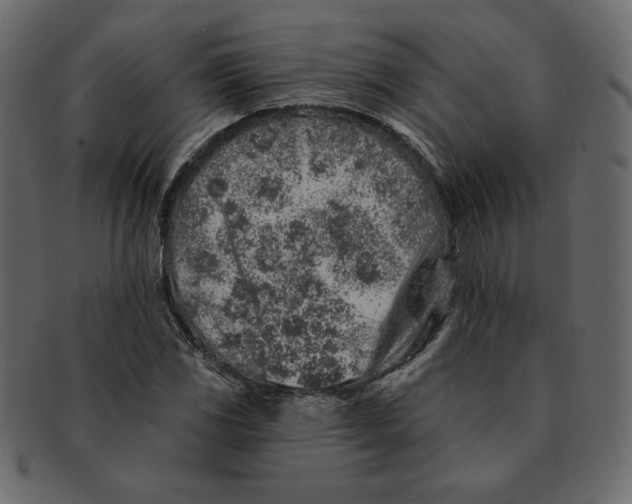 X0000091371117200709071320