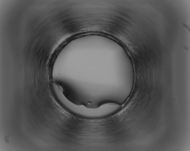 X0000091371118200709071320