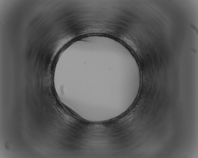 X0000091371119200709071320