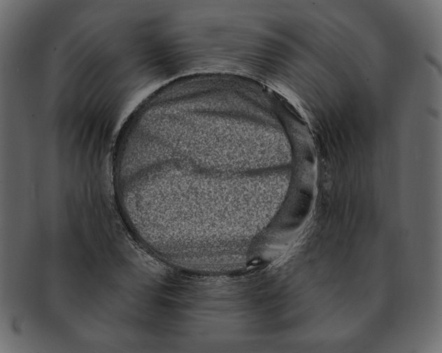 X0000091371120200709071320