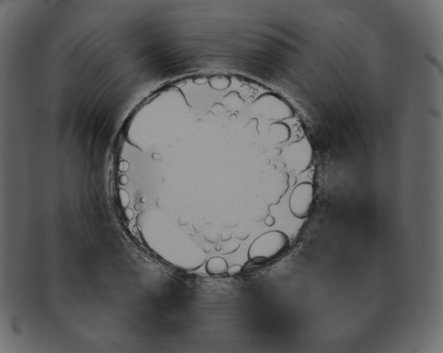 X0000091371126200709071320