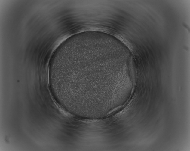 X0000091371127200709071320