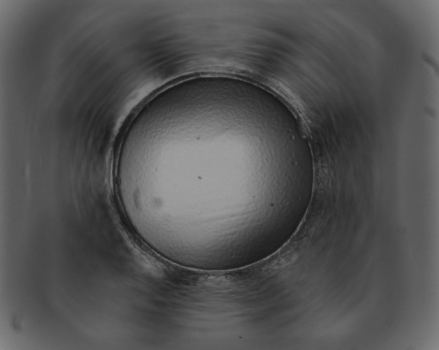 X0000091371128200709071320