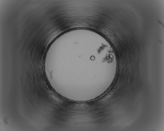 X0000091371129200709071320