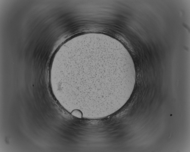 X0000091371130200709071320