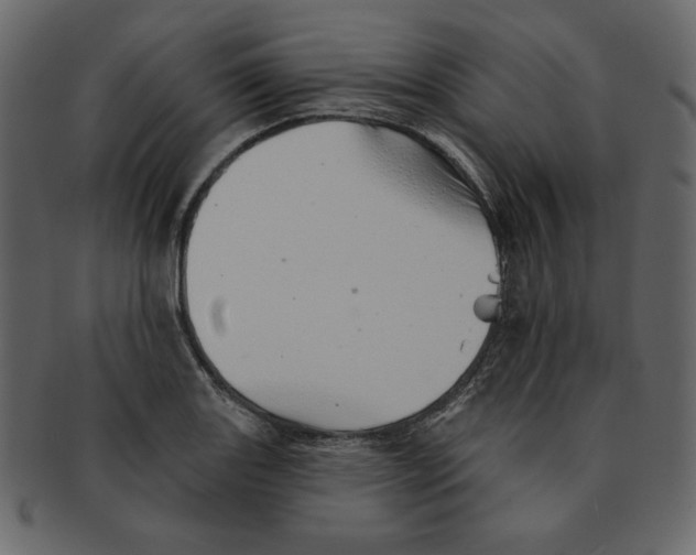 X0000091371131200709071320