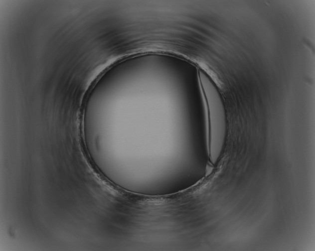 X0000091371134200709071320