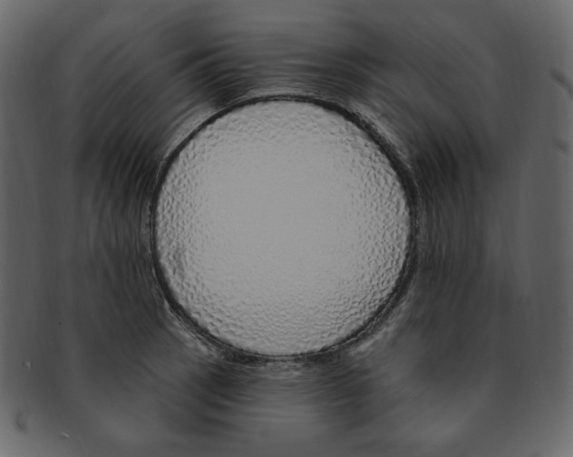 X0000091371137200709071320