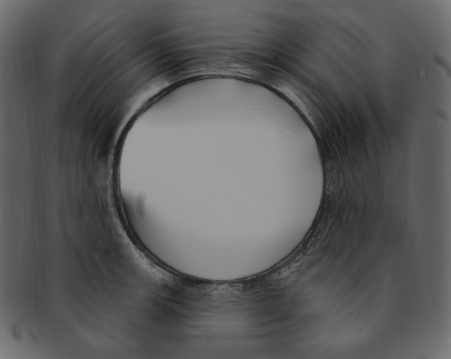 X0000091371139200709071320