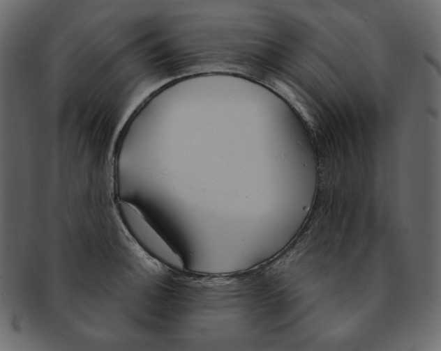 X0000091371140200709071320