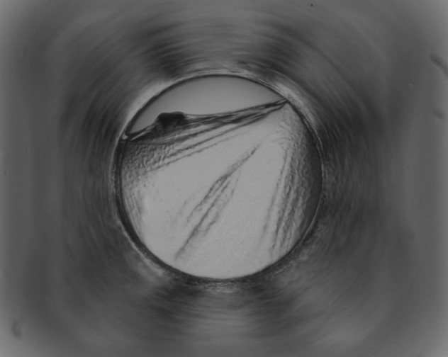 X0000091371141200709071320