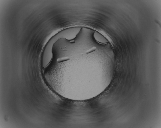 X0000091371142200709071320