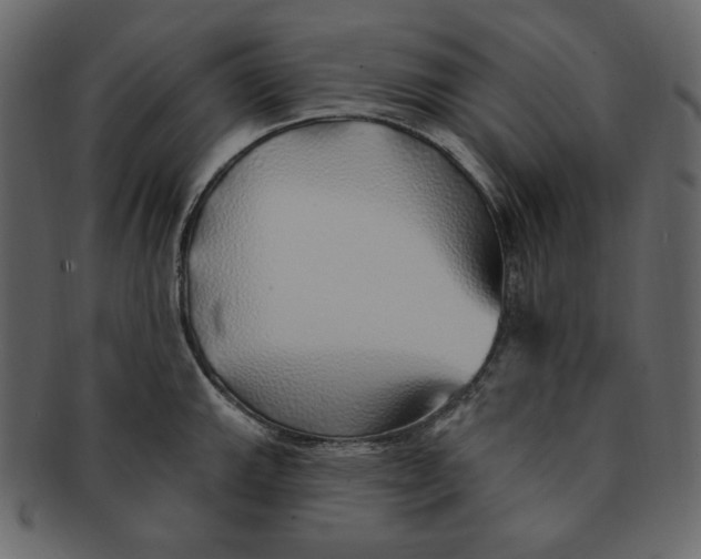 X0000091371143200709071320