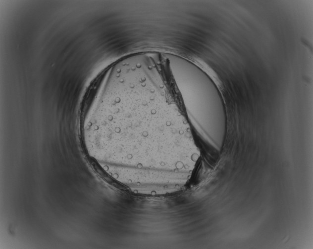 X0000091371144200709071320