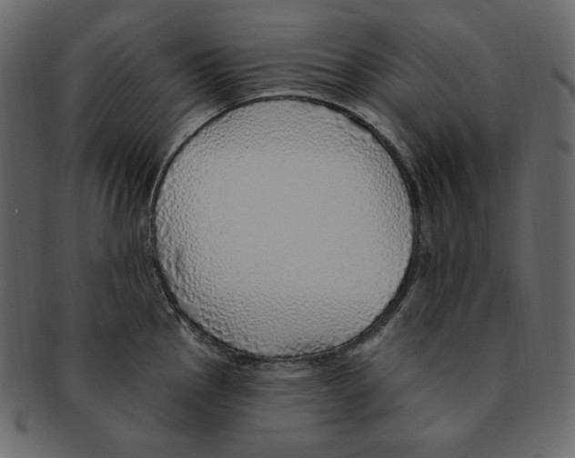 X0000091371145200709071320