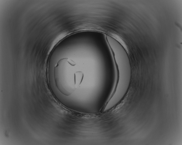 X0000091371146200709071320