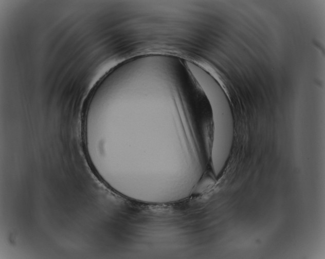 X0000091371147200709071320