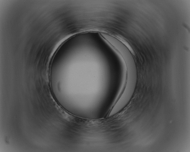 X0000091371148200709071320