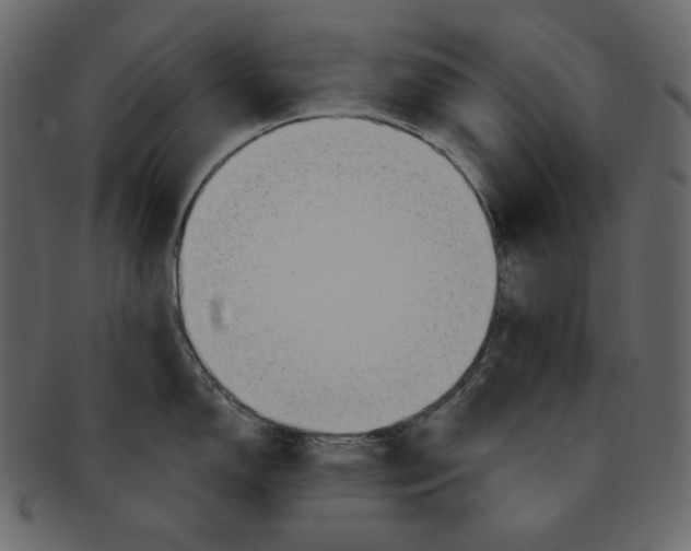 X0000091371150200709071320