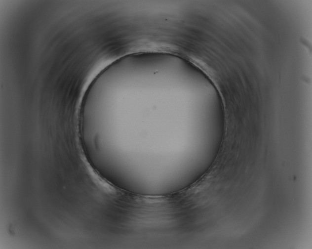 X0000091371152200709071320