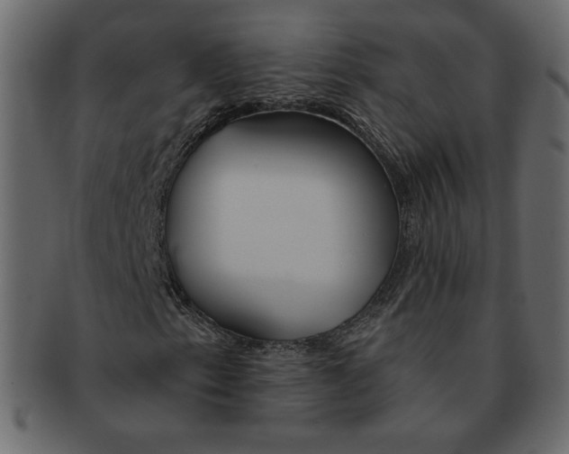 X0000091371153200709071319