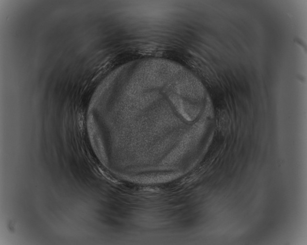 X0000091371154200709071319