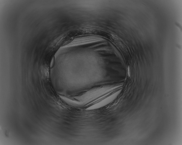 X0000091371155200709071319