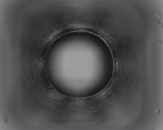 X0000091371157200709071319