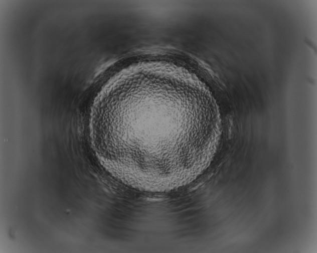 X0000091371158200709071319