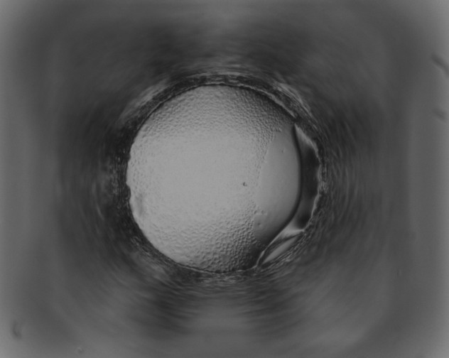 X0000091371159200709071319