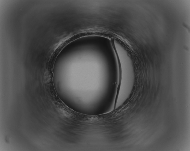 X0000091371160200709071319