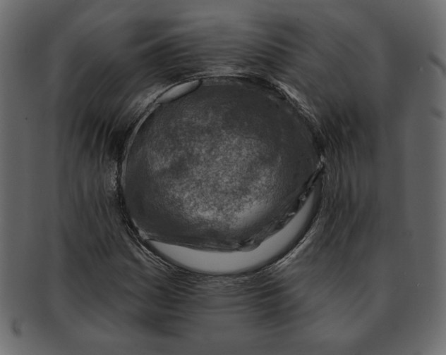 X0000091371161200709071319