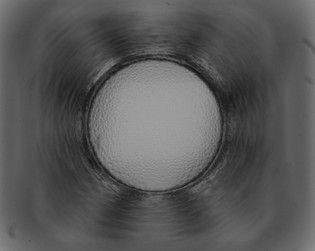 X0000091371162200709071319